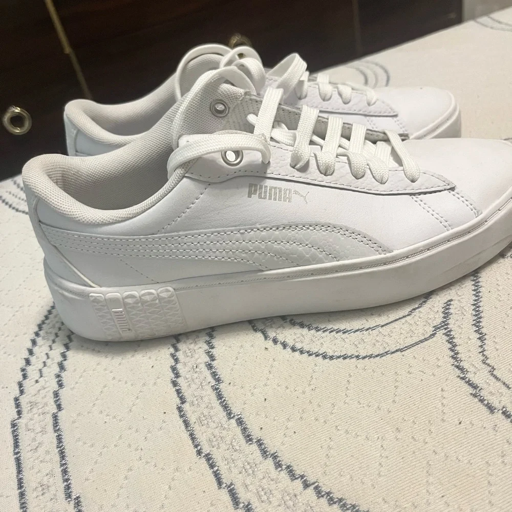 Pumas - Picture 1 of 4